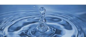 Lees meer over het artikel Waterkwaliteit