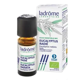 Ladrôme - Eucalyptus radiata (Bio)  Etherische olie