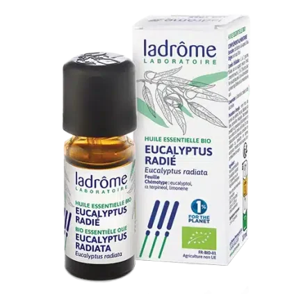 Ladrôme - Eucalyptus radiata (Bio)  Etherische olie
