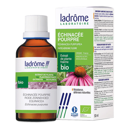Ladrôme - Echinacea (Bio) <p> Tinctuur