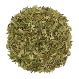 Driekleurig viooltje