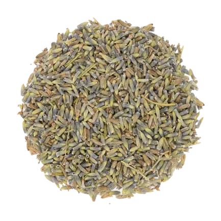 Lavendel
